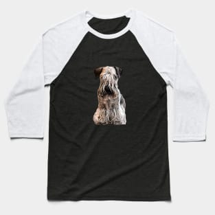 Cesky Terrier Baseball T-Shirt